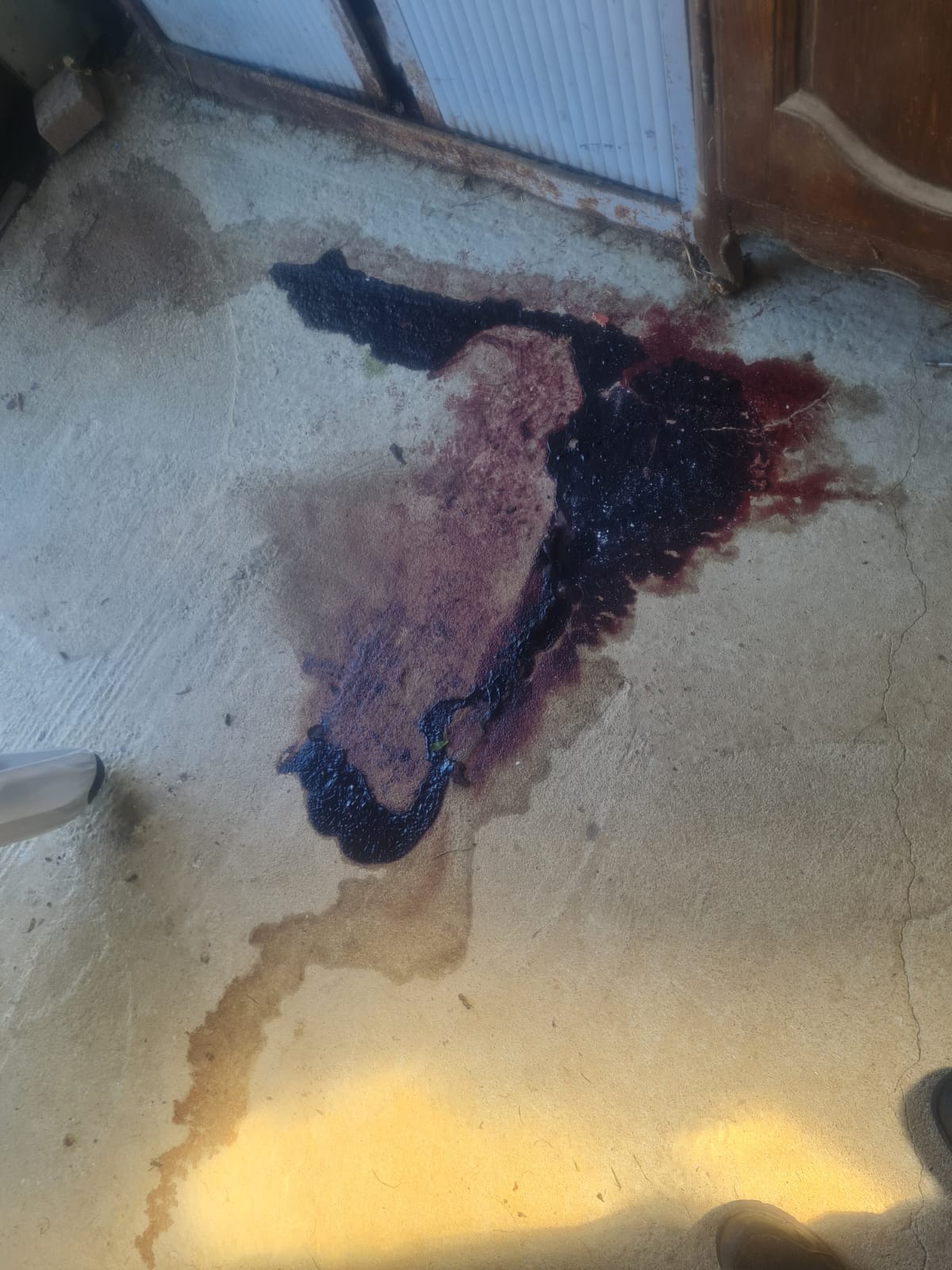 WhatsApp Image 2025 04 17 A 15.47.27 9fdc1053