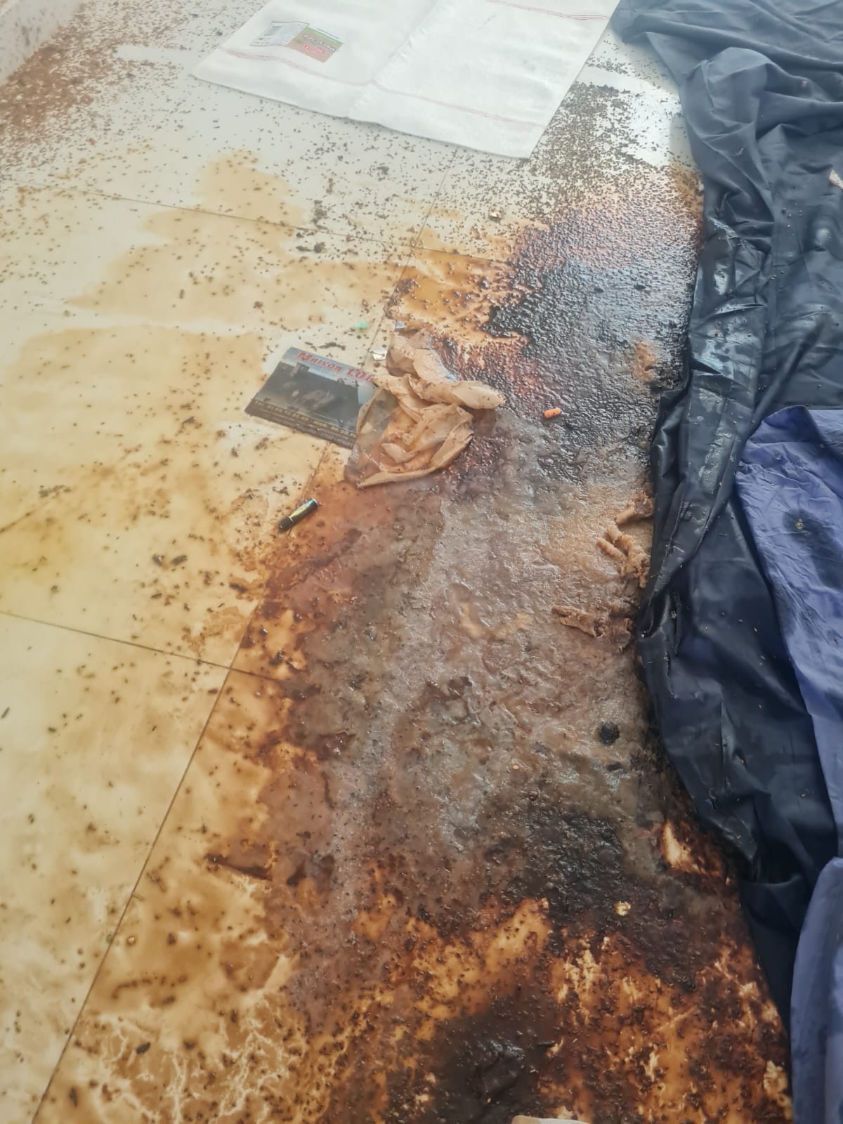 WhatsApp Image 2025 04 18 A 17.15.45 1a9338eb