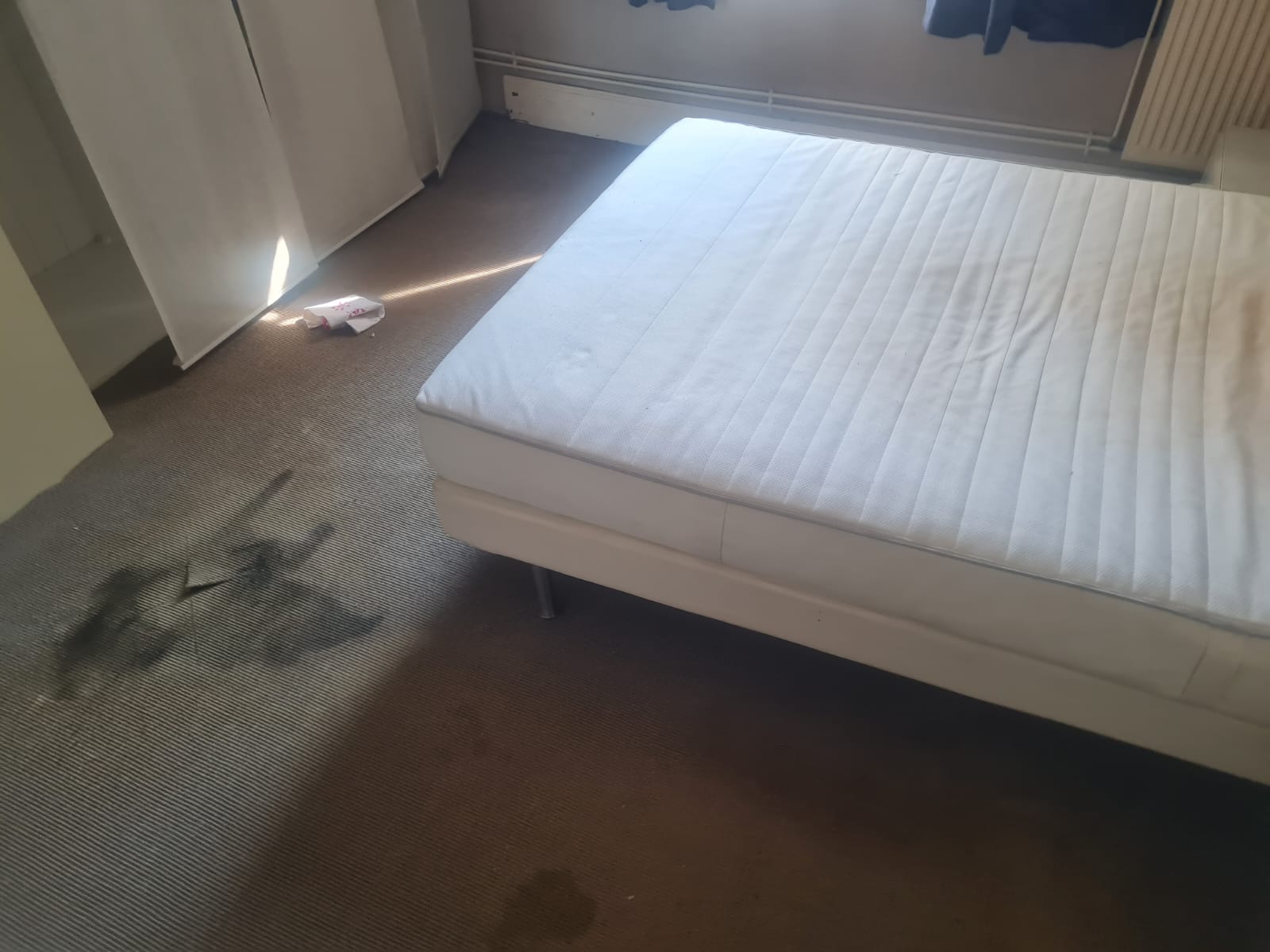 WhatsApp Image 2025 06 19 A 10.28.45 66522fe9